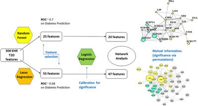Significant EHR Feature-Driven T2D Inference: Predictive Machine Learning and Networks